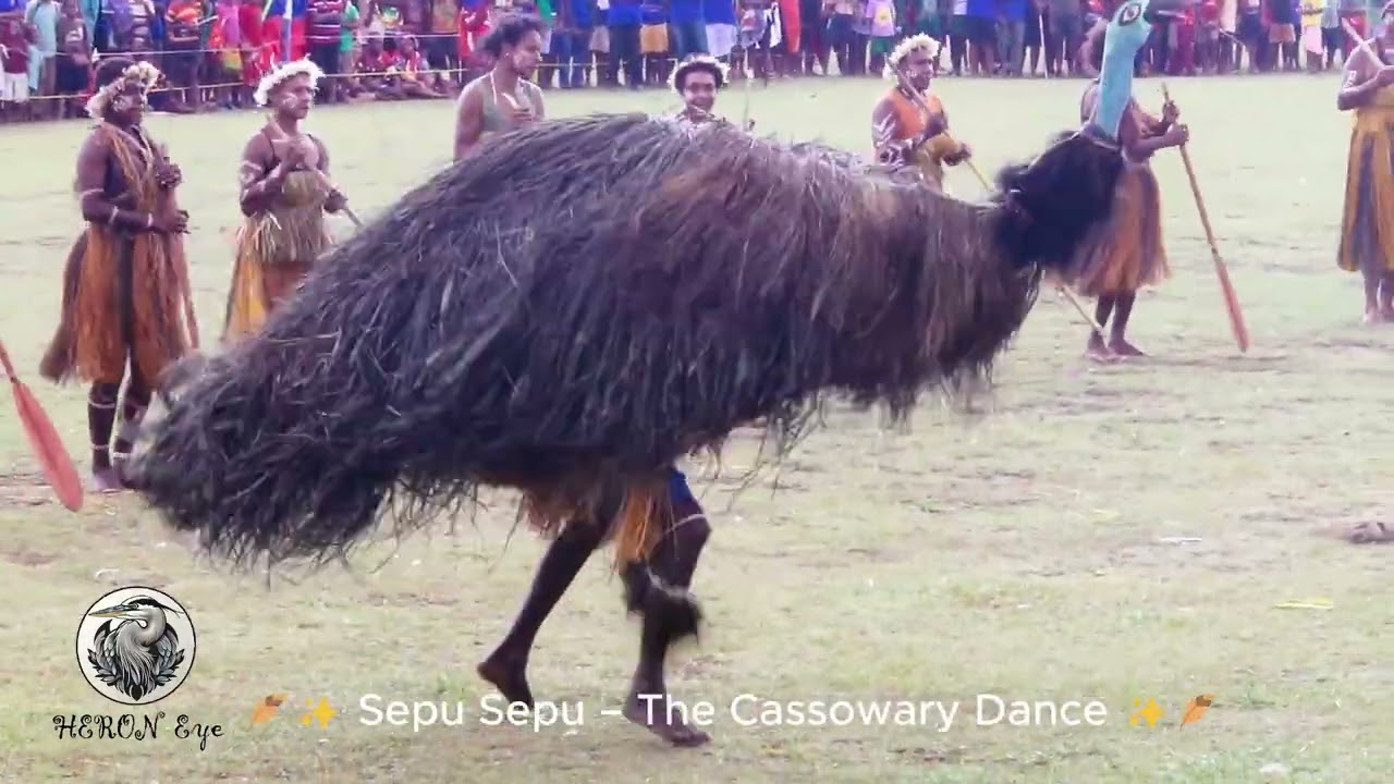 Sepu Sepu – The Cassowary Dance_Cover by Heron Eye