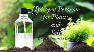 Hydrogen peroxide For Plants and Soil | How to Use Hydrogen Peroxide in Plants and Soil | DDID