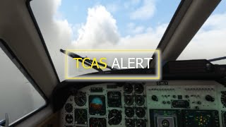 MSFS | TRAILER | TCAS ALERT | PILOT DEVIATION