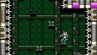 Mega Man ZX Advent - Minigame Model (a) - Stage 2
