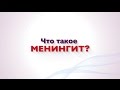 Что такое менингит?