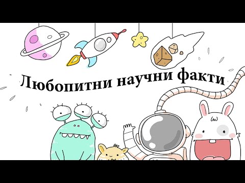 Видео: Малко известни факти за Топ 10 породи котки