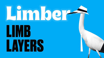 Limber 2 for After Effects - Limb Layers