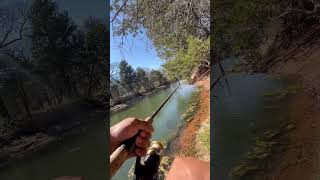 Lost 3 Fish And Got The Plopper Stuck On A Log Time To Go To Academy