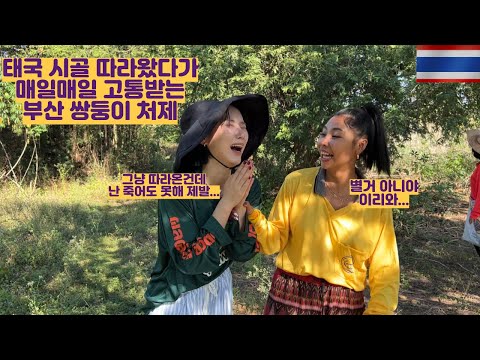 태국 시골 따라왔다가 매일매일 고통받는 부산 쌍둥이 처제