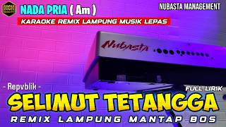 SELIMUT TETANGGA - REMIX LAMPUNG TERBARU MUSIK LEPAS KARAOKE NADA PRIA