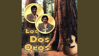 Video thumbnail of "Los Dos Oros - El Huerfanito"