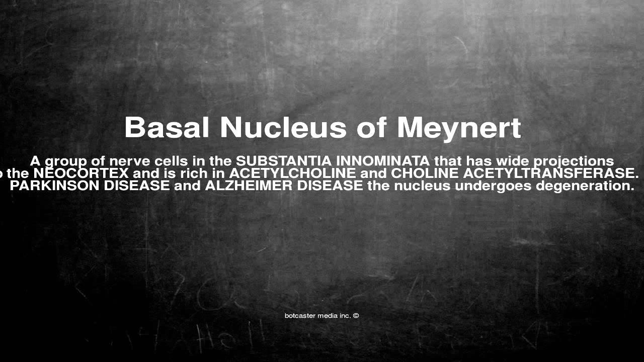 Medical vocabulary: What does Basal Nucleus of Meynert mean