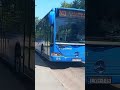 lyh115 áll be brutális zf-el