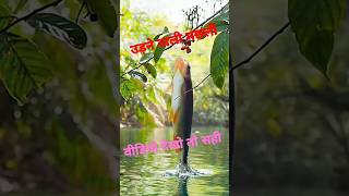 मछल उड रह ह ??