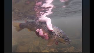 Trout Fishing The River Tywi On A Cold October Weekend