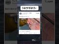 騒音が酷すぎると思ったら… #マリオカートワールド