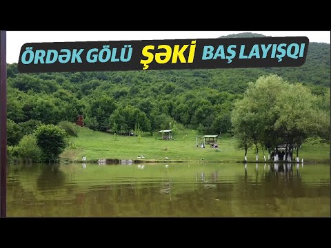 Şəki ÖRDƏK GÖLÜ İstirahət Mərkəzi | Baş Layısqı kəndi | Farid Mustafayev