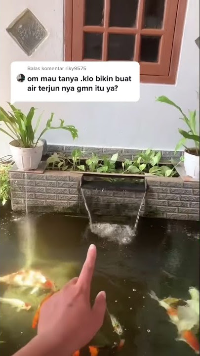 Bikin air terjun kolam koi #shorts #kolamkoi #kolamkoiminimalis