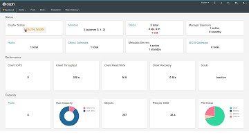 Ceph Manager Dashboard - OSDs down - 2019-01-24