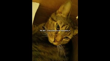 Is my keyboard cooked? 💔 {×} #capcut #edit #keyboard