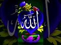 Vo mera nabi hai #allah #nabi #trending #shorts💞❤