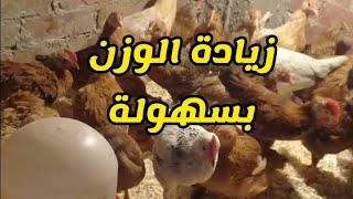 اقوي خلطة لرفع الوزن ومطهر معوي لكل الطيور ( الفراخ البيضاء/ الساسو / البلدي / البط )