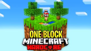 I Survived 100 Days on ONE BLOCK in Hardcore Minecraft.. Here's What Happened..