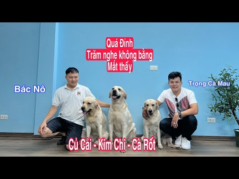 Video Củ Cải , Kim Chi , Cà Rốt , Bác Nô và cuộc gặp gỡ quá... - youtube