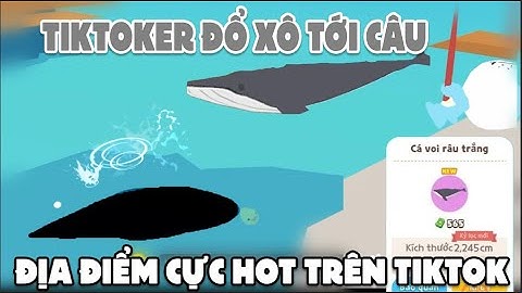 HƯỚNG DẪN ĐI VÀO ĐỊA ĐIỂM MÀ CÁC TIKTOKER NỔI TIẾNG SĂN CÁ VOI RÂU TRẮNG và cái kết...