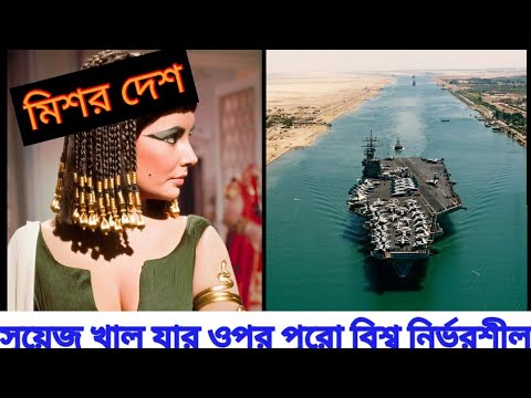 ভিডিও: কেন সিনুহে মিশর ছেড়ে যায়?