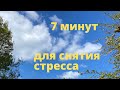 Музыка для снятия стресса и усталости. Озеро. Природа. Релакс за 7 минут