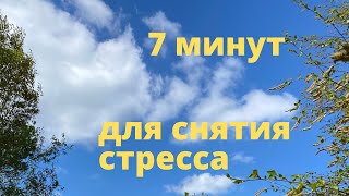 Музыка для снятия стресса и усталости. Озеро. Природа. Релакс за 7 минут