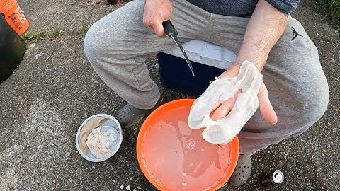 How to clean razor clams