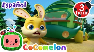 ¡Oh no! ¿Lograrán alcanzar el autobús? | CoComelon y los animales 🍉| Dibujos para niños by CoComelon y Animales - Canciones infantiles 25,438 views 1 month ago 2 hours, 56 minutes