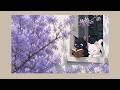 Find Peace with Cats and Music 🐈⬛📖 Relaxing Ambience for Study