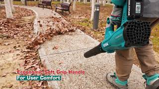 TABLI20428 Li-ion Brushless Blower | Product Demo