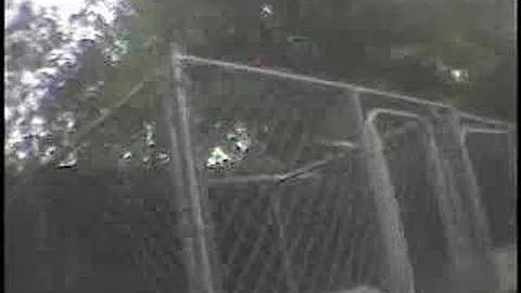 Undercover Look at Puppy Mills: Investigation in V...