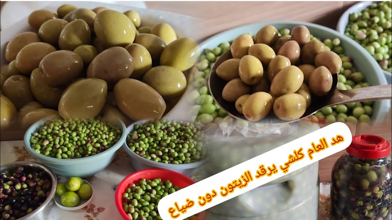 ترقاد الزيتون بكل احترافيه مع جميع الاسرار باش يصبر معاك مدة طويلة ويبقا في لونه 