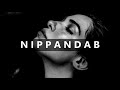 Nippandab  in the end  remix