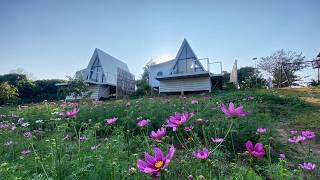 ปากหิมดอยฟาร์มโฮมสเตย์ สวนผักฮิมดอย โฮมสเตย์ฝาง | ฝาง ประเทศไทย | รีวิวโรงแรม 🛏️