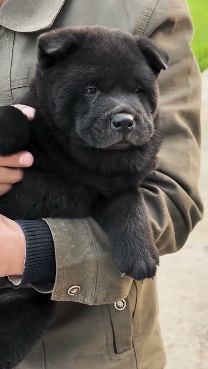 Download lagu 4 December 2024