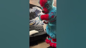 stick #furry #furries #furryfandom #fursona #fursuiter #fursuit #hyena #hyenasuiter #furriesoftiktok