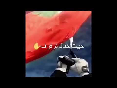 يحيا العلم
