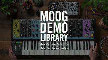 Matriarch | External Processing & Controlling Eurorack Modules