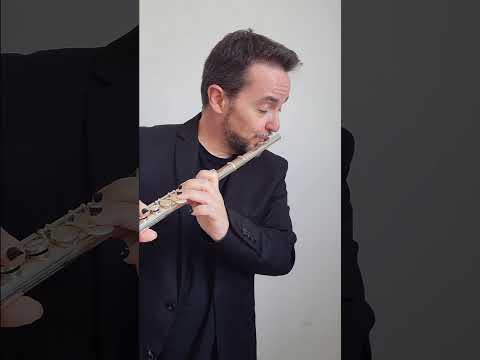 Video Andantino from Concerto in C for Flute and Harp K. 299/297c W.A.Mozart