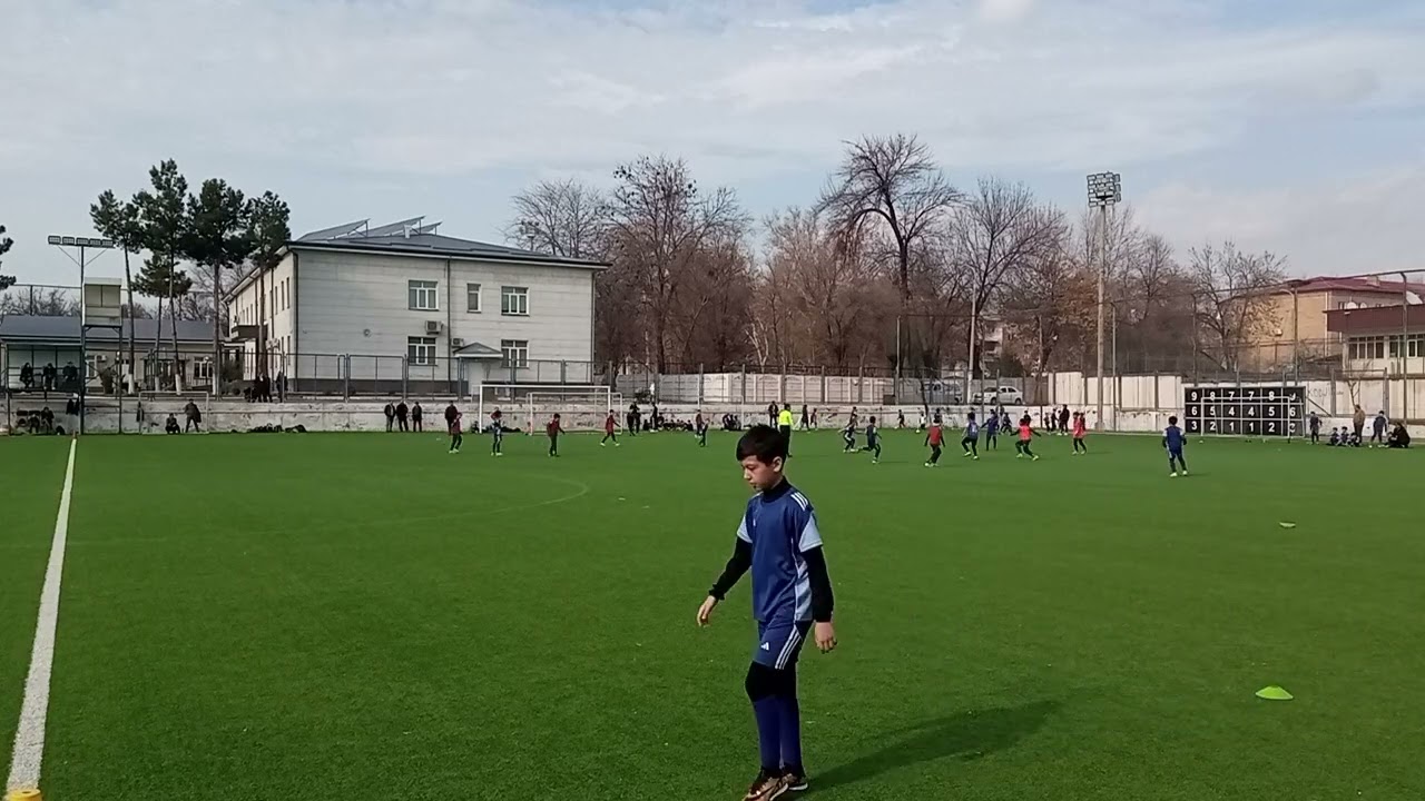 20 февраля 2026 г.