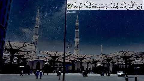 القارئ الشيخ رعد الكردي/حالات واتس اب قرآن كريم ❤❤