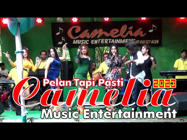 FULL ALBUM CAMELIA LIVE PRAWOTO SUKOLILO PATI 2023 THE WEDDING AMAR u0026 RINDU // ADR DIGITAL AUDIO class=