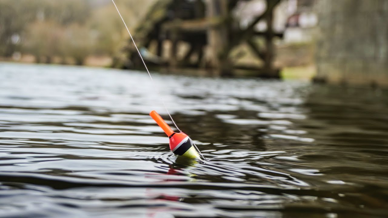 Lov ryb na plavanou na úspěšném místě.