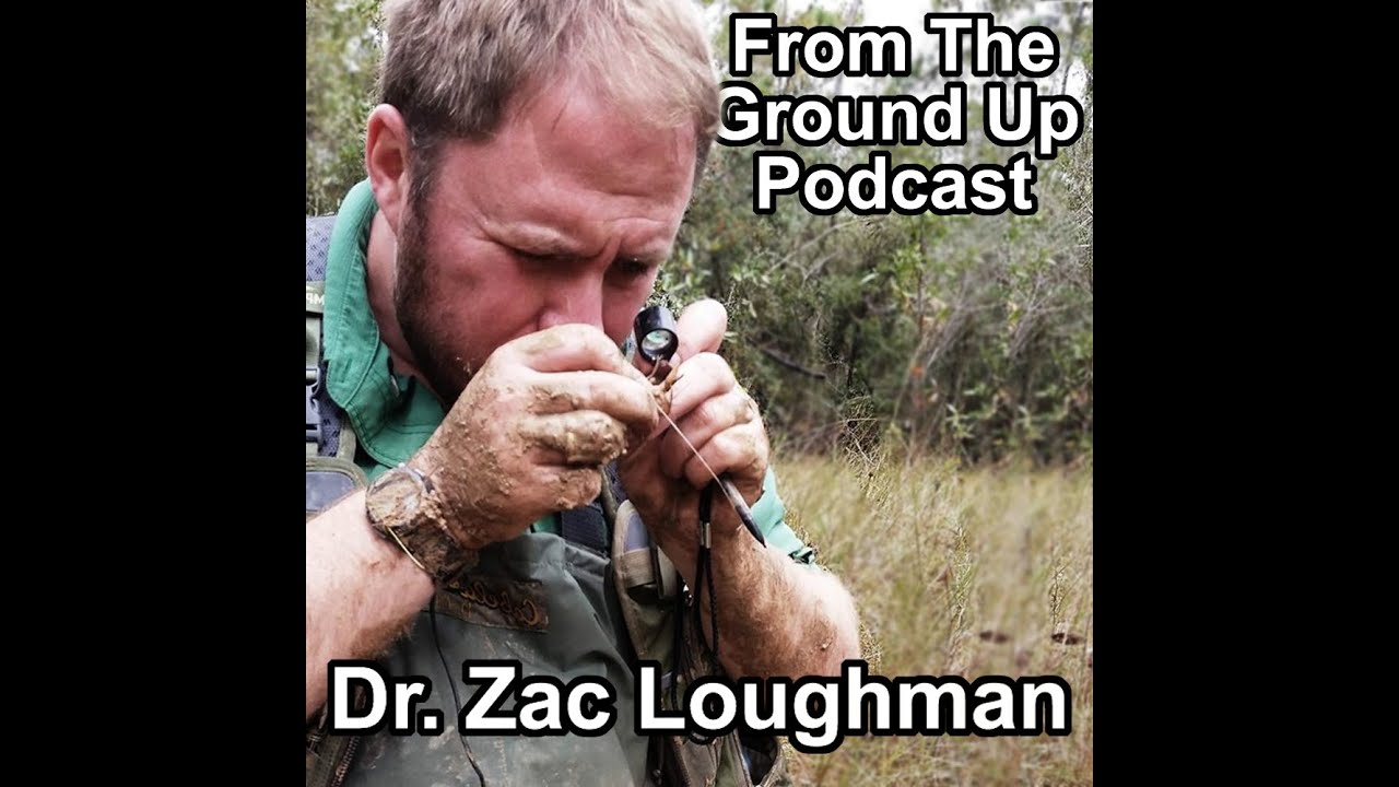hangouts on air august 1 Reptile Husbandry W/ Dr. Zac Loughman