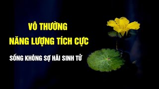 Vô thường là một loại năng lượng tích cực, sống không sợ hãi sinh lão bệnh tử