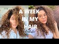 A Week Without Washing My Curly Hair