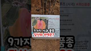 중앙농원 043-731-3200