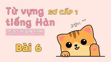 Từ vựng tiếng Hàn sơ cấp 1 - Bài 6 | Đọc dịch song ngữ